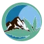 Photo of Pacific Grass