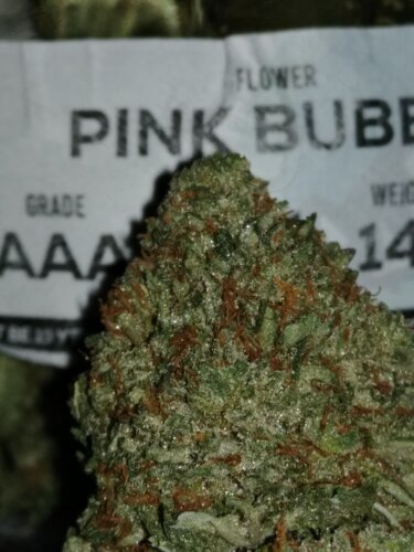 Pink Bubba