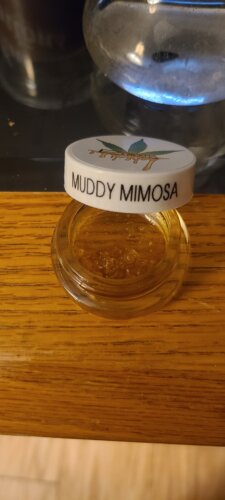 Enigma Extracts – Diamonds – Muddy Mimosa