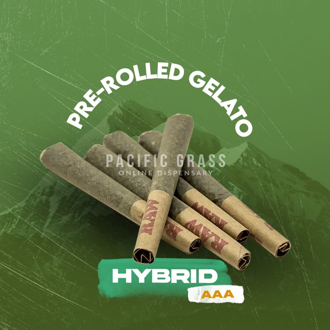 Pre-rolled Gelato
