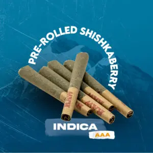 Pre-rolled Shishkaberry