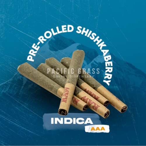 Pre-rolled Shishkaberry