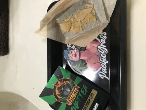 Golden Monkey Extracts – Shatter photo review