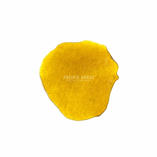 Enigma Extracts – Shatter – Pine Tar