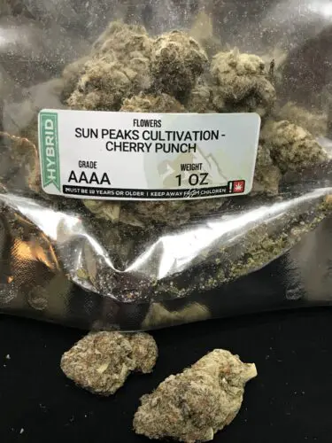 Sun Peaks Cultivation – Cherry Punch