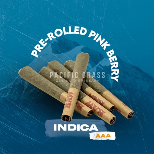 Pre-rolled Pink Berry