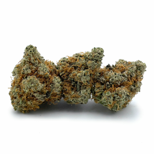 Velvet Bud Marijuana