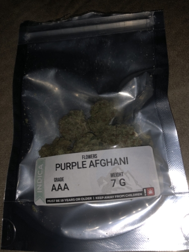 Purple afghani