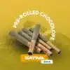 Pre-rolled chocolope