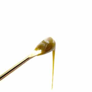 Golden Monkey Extracts Solventless Hash Rosin Grease Monkey