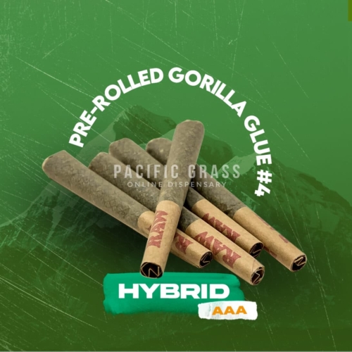 Pre-rolled gorilla glue #4