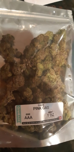 Pink gas