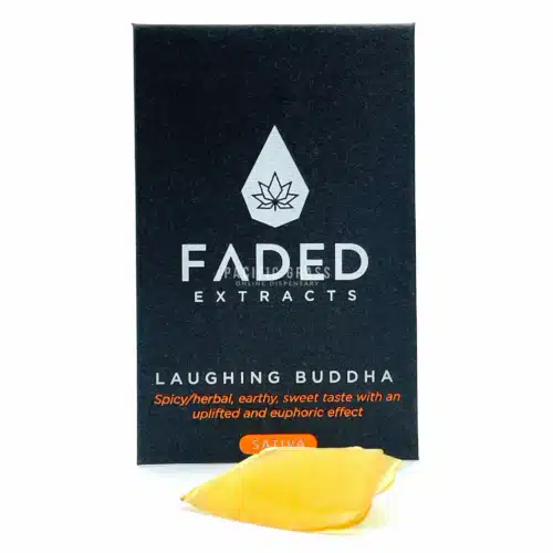 Faded Shatter Laughing Buddha
