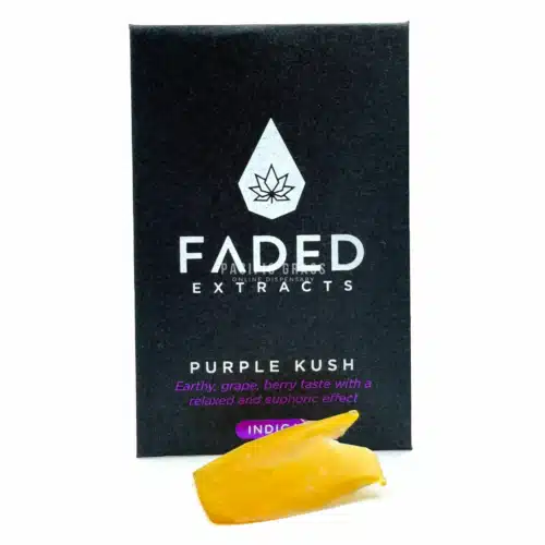 Faded Shatter Purple Kush
