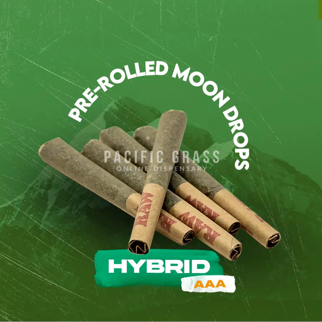 Pre-rolled monster cookie
