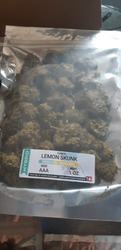 Lemon Skunk photo review