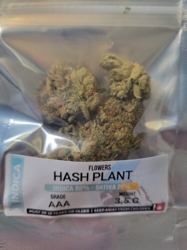 Hash Plant photo review