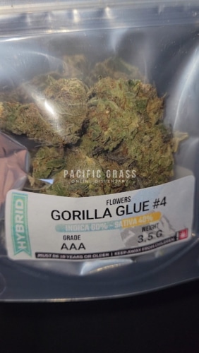 Gorilla Glue #4 photo review