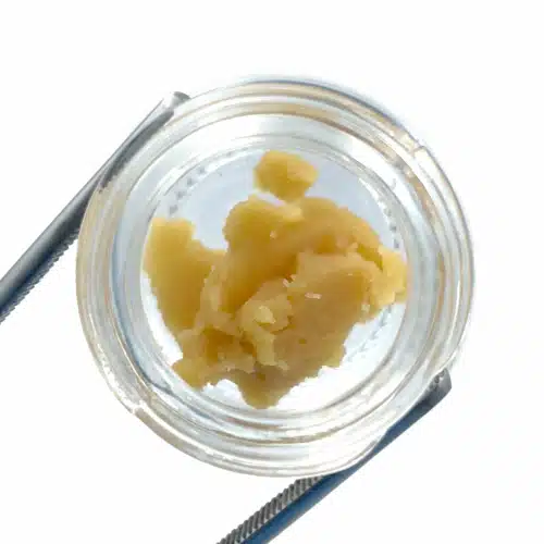 High Voltage Extracts Live Resin Northern Berry