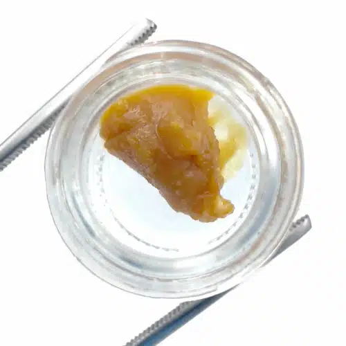 High Voltage Extracts Live Resin Peyote Purple