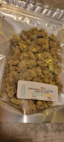 Sun Peaks Cultivation - Miracle Whip photo review