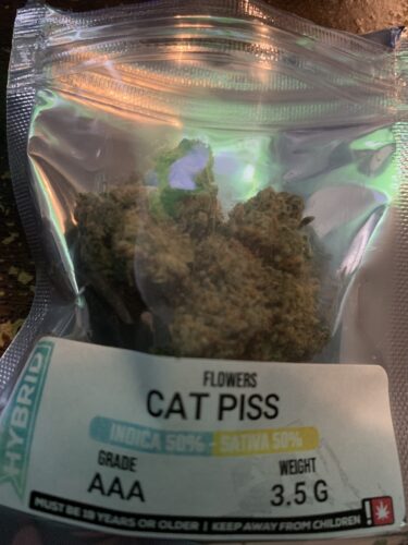 Cat Piss photo review