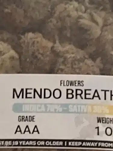 Mendo Breath photo review