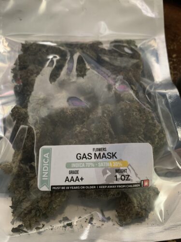 Gas Mask photo review