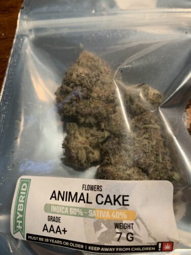 Animal Cake photo review