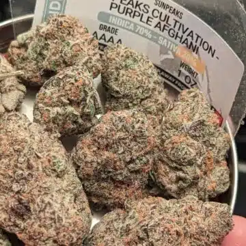Sun Peaks Cultivation - Purple Afghani photo review