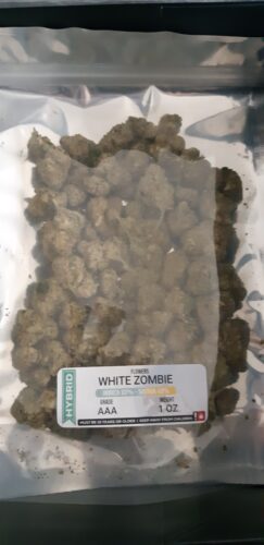 White Zombie photo review
