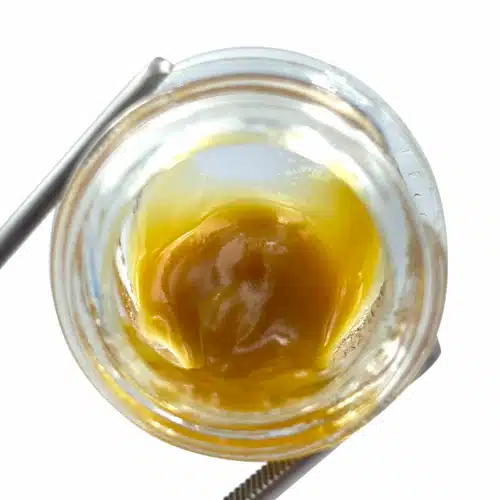 High Voltage Extracts Live Resin Apricot Jelly