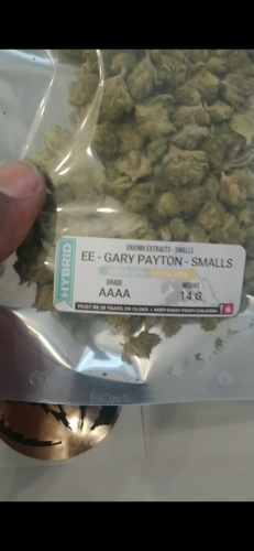 Enigma Extracts - Gary Payton - Smalls photo review