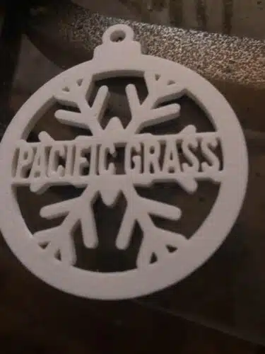 Pacific Grass Christmas Ornament 2.0 photo review