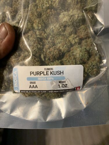 Purple Kush photo review
