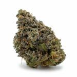 Sour Cookies