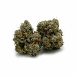 Chocolope