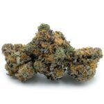 Purple God Bud