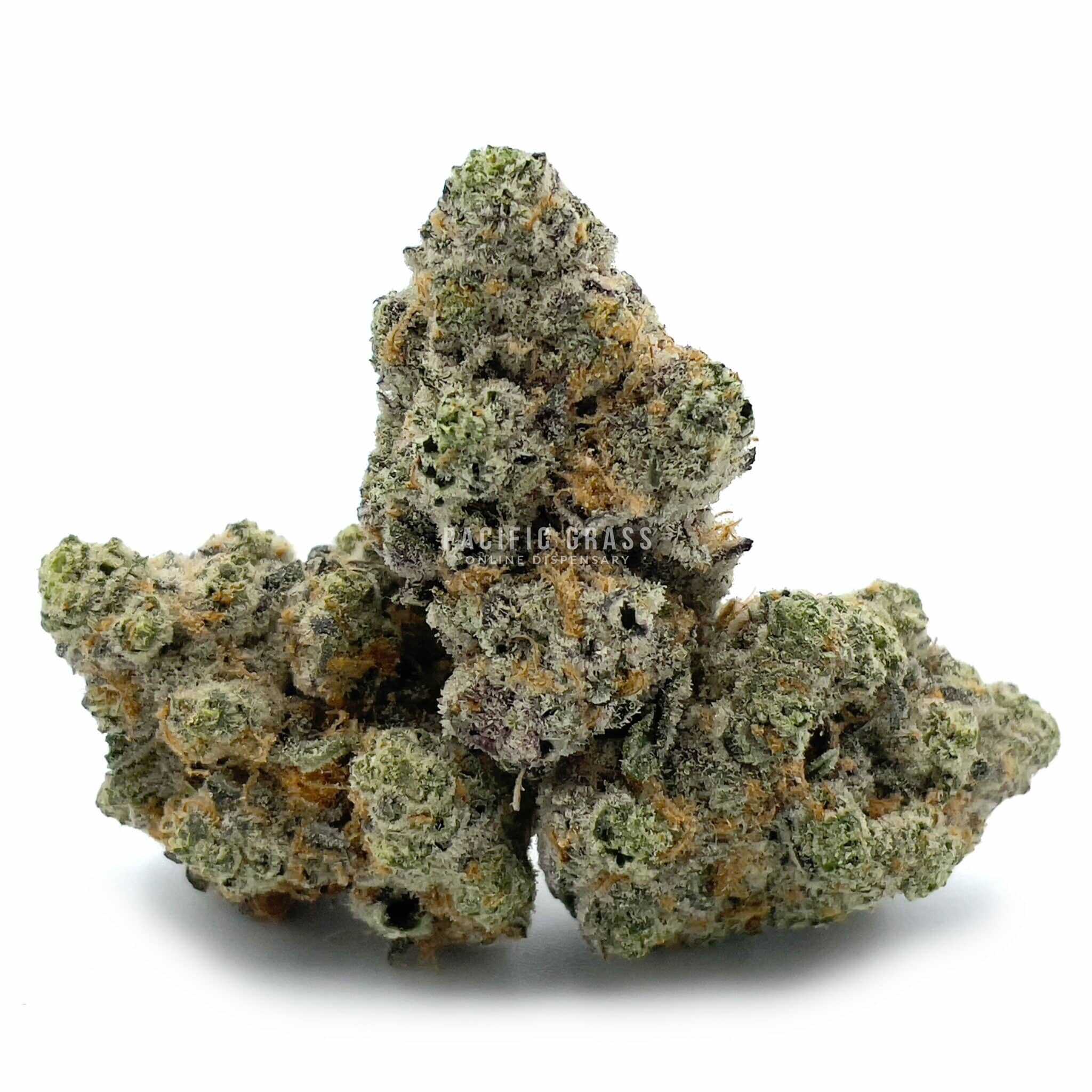 Monster Cookie