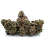 Sour Cookies