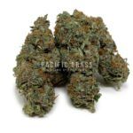 Casey Jones