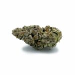 Purple Legend Bomb
