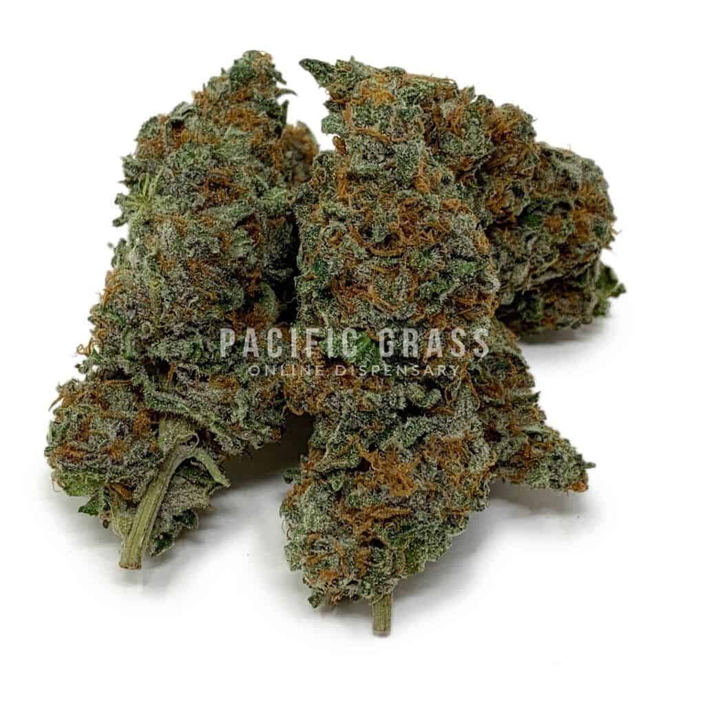 Casey Jones