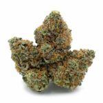 Mandarin Kush