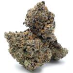 Sun Peaks Cultivation - Star Master Kush