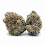 Sun Peaks Cultivation - Platinum Cookie Breath