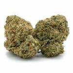 Popcorn Bubble Gum Cheese
