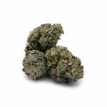 Purple Legend Bomb