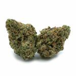 Purple Nuken