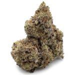 Hindu Skunk